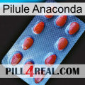 Anaconda Pill 06